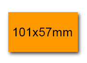 wereinaristea EtichetteAutoadesive, 101x57(57x101mm) Carta ARANCIONE, adesivo Permanente, angoli a spigolo, per ink-jet, laser e fotocopiatrici, su foglio A4 (210x297mm).