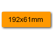 wereinaristea EtichetteAutoadesive, 192x61(61x192mm) Carta ARANCIONE, adesivo Permanente, angoli arrotondati, per ink-jet, laser e fotocopiatrici, su foglio A4 (210x297mm) bra3142AR