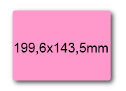 wereinaristea EtichetteAutoadesive, 199,6x143,5(143,5x199,6mm) Carta ROSA, adesivo Permanente, angoli arrotondati, per ink-jet, laser e fotocopiatrici, su foglio A4 (210x297mm).