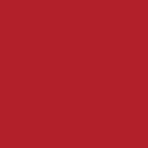 carta Cartoncino Burano FUOCO, sb, 320gr Rosso Fuoco 79, formato sb (33,3x70cm), 320grammi x mq.