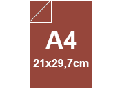 carta CartoncinoPLASTIFICATO RismaLuceFavini, a4, 230gr, MARRONE Formato A4 (21x29,7cm), 230grammi x mq, (200cartoncino+30plastificazione) bra417