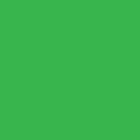 carta Cartoncino Burano BANDIERA, sb, 250gr Verde Bandiera 60, formato sb (33,3x70cm), 250grammi x mq.
