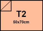 carta Cartoncino Burano SALMONE. T2. 140gr Salmone 05, formato T2 (50x70cm), 140grammi x mq bra827T2