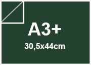 carta Cartoncino Burano INGLESE, a3+, 200gr Verde Inglese 71, formato a3+ (30,5x44cm), 200grammi x mq BRA868a3+