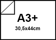 carta Cartoncino PrismaBimarcatoFavini, Bianco a3+, 120gr Bianco, formato a3+ (30,5x44cm), 120grammi x mq.