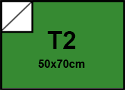 carta Cartoncino BindaKOTE PRATO, T2, 250gr COLORI FORTI Verde Prato 21, monolucido, formato T2 (50x70cm), 250grammi x mq bra956T2