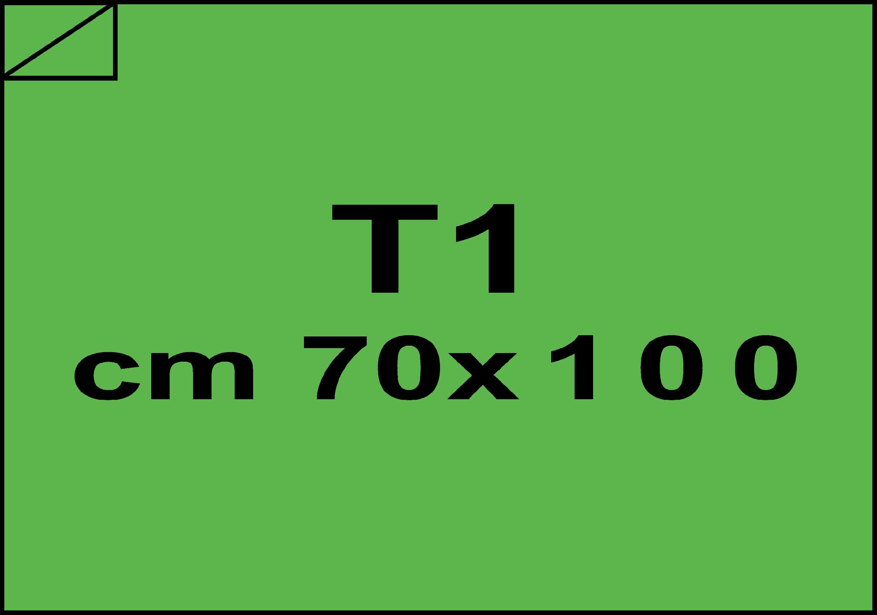 carta CartaAdesiva COLOR, Verde, t1, 80gr Verde, formato t1 (70x100cm), 80grammi x mq, retro 80grammi x mq bra1356t1
