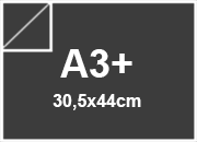 carta Cartoncino SUMO Favini, A3+, 1mm GRIGIO SCURO, formato A3+ (30.5X44cm), spessore 1mm, 700grammi x mq BRA101A3+