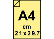 carta: 4207