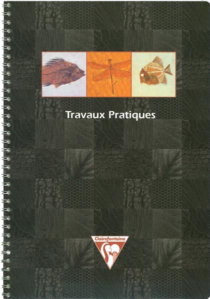 carta Quaderno a spirale metallica, quadretti da 8mm formato A4 (210x297mm), in carta speciale Clairefontaine Papier Vélin Velouté 90gr, rigatura Séyès, 40 fogli.