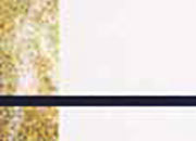 carta Carta personalizzata con cornice -tivoli- per stampanti laser & inkjet. Formato a4 (21x29,7 cm), 95gr x mq, personalizzata a tema DEC124x100