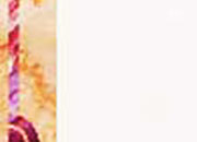 carta Carta personalizzata con cornice -borghese- per stampanti laser & inkjet. Formato a4 (21x29,7 cm), 95gr x mq, personalizzata a tema DEC127x100