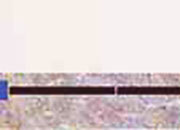 carta: 131