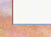 carta: 150