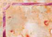 carta Carta personalizzata con cornice -borghese- per stampanti laser & inkjet. Formato a4 (21x29,7 cm), 95gr x mq, personalizzata a tema DEC157x100