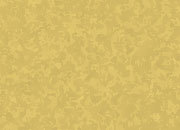 carta Biglietto da visita 70x105mm, in pergamena -Gold- Per stampanti laser & inkjet. Da un foglio A4 si ottengono 8 biglietti da visita 170x70mm, 180gr DEC1715x50