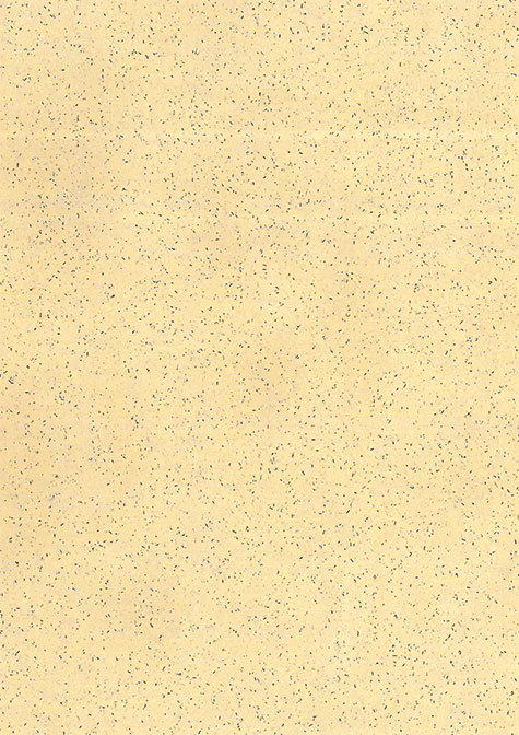 carta Carta personalizzata tinta unita -speckled beige- per stampanti laser & inkjet. Formato a4 (21x29,7 cm), 95gr x mq, personalizzata a tema.