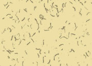 carta Carta personalizzata tinta unita -fibers cream- per stampanti laser & inkjet. Formato a4 (21x29,7 cm), 95gr x mq, personalizzata a tema DEC1607x100