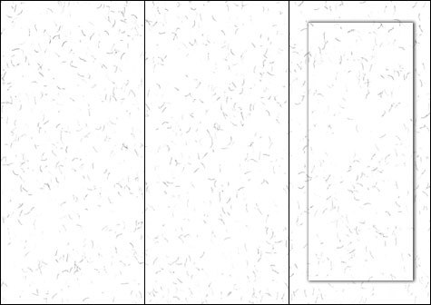 carta Cartoncino piegato in 3 tinta unita -fibers white- per stampanti laser & inkjet. Foglio A4 piegabile in A5, 165gr x mq, personalizzata a tema.