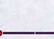 carta Carta personalizzata con cornice -nara- per stampanti laser & inkjet. Formato a4 (21x29,7 cm), 95gr x mq, personalizzata a tema DEC161x100