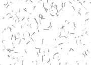 carta Biglietto da visita 54x85mm -fibers white- Per stampanti laser & inkjet. Da un  foglio A4 si ottengono 10 biglietti da visita 85x54mm, 180gr DEC1624x50