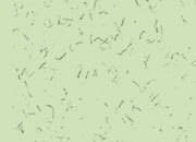 carta Biglietto da visita 54x85mm -fibers green- Per stampanti laser & inkjet. Da un  foglio A4 si ottengono 10 biglietti da visita 85x54mm, 180gr DEC1626x50