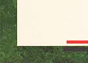 carta: 164