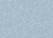 carta Biglietto da visita 54x85mm, in pergamena -blue- Per stampanti laser & inkjet. Da un foglio A4 si ottengono 10 biglietti da visita 85x54mm, 180gr DEC1694x50