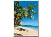 carta Cartoncino fotografico A4. white. 210gr inkjet. Cartoncino fotografico di alta qualit monopatinato lucido..