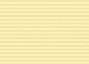 carta Cartoncino personalizzato tinta unita -rib chamois- per stampanti laser & inkjet. formato a4 (21x29,7 cm), 165 gr x mq personalizzato a tema.