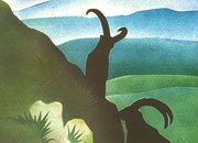 carta Carta personalizzata con soggetto -nature park- DEC306Sx100.