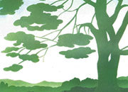 carta Carta personalizzata con soggetto -tree- per stampanti laser & inkjet. Formato a4 (21x29,7 cm), 95gr x mq, personalizzata a tema DEC314Sx100