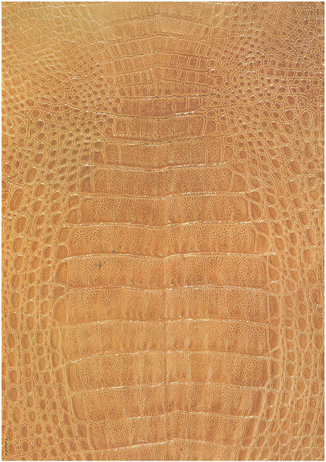 carta Carta personalizzata con soggetto -leather- per stampanti laser & inkjet. Formato a4 (21x29,7 cm), 95gr x mq, personalizzata a tema.