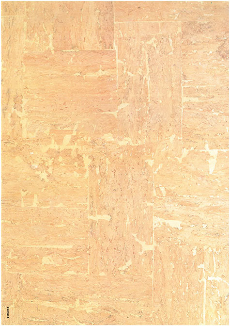 Carta personalizzata con soggetto -cork- DEC323Sx100 - immagine aggiuntiva