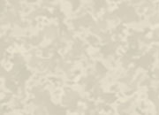 carta Biglietto da visita 54x85mm, in pergamena -champagne- DEC345x24.