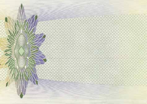 carta Formato 99x210mm, cheque green-violet, 115gr laser & inkjet. Da un  foglio A4 si ottengono 3 biglietti 210x99mm.