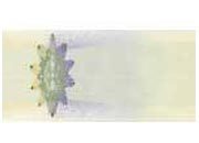 carta Formato 99x210mm, cheque green-violet, 115gr DEC4060x50.