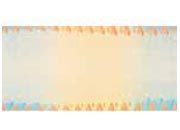 carta Formato 99x210mm, coupon red-blue, 115gr laser & inkjet. Da un  foglio A4 si ottengono 3 biglietti 210x99mm.