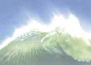 carta Carta personalizzata con soggetto -sea- per stampanti laser & inkjet. Formato a4 (21x29,7 cm), 95gr x mq, personalizzata a tema.