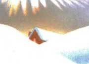 carta Carta personalizzata con soggetto -mountain- per stampanti laser & inkjet. Formato a4 (21x29,7 cm), 95gr x mq, personalizzata a tema DEC504x100