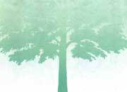 carta Carta personalizzata con soggetto -tree- per stampanti laser & inkjet. Formato a4 (21x29,7 cm), 95gr x mq, personalizzata a tema DEC505x100