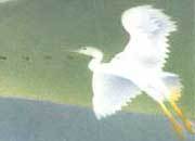 carta Carta personalizzata con soggetto -pond- per stampanti laser & inkjet. Formato a4 (21x29,7 cm), 95gr x mq, personalizzata a tema DEC517x100