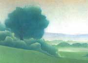 carta Soggetto. plain. carta 95gr. personalizzata a tema DEC703x50.