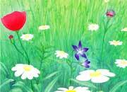 carta Carta personalizzata con soggetto -spring- per stampanti laser & inkjet. Formato a4 (21x29,7 cm), 95gr x mq, personalizzata a tema DEC550x100