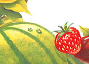 carta Carta personalizzata con cornice -fruit basket- per stampanti laser & inkjet. Formato a4 (21x29,7 cm), 95gr x mq, personalizzata a tema DEC619x100