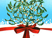 carta Carta personaizzata con cornice -mistletoe- per stampanti laser & inkjet. Formato a4 (21x29,7 cm), 95gr x mq, personalizzata a tema DEC646x100