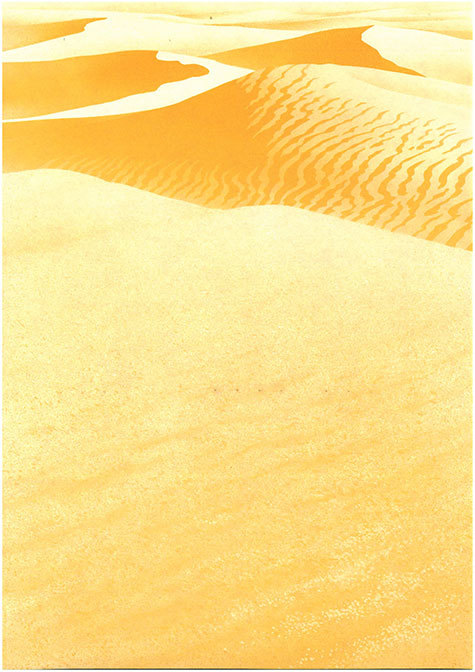 carta Carta personalizzata con soggetto -desert- per stampanti laser & inkjet. Formato a4 (21x29,7 cm), 95gr x mq, personalizzata a tema.