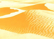 carta Carta personalizzata con soggetto -desert- per stampanti laser & inkjet. Formato a4 (21x29,7 cm), 95gr x mq, personalizzata a tema DEC657x100