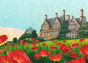 carta Carta personalizzata con soggetto -poppy garden- per stampanti laser & inkjet. Formato a4 (21x29,7 cm), 95gr x mq, personalizzata a tema DEC659x100