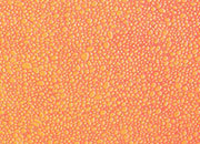 carta Carta personalizzata tinta unita -ruby- per stampanti laser & inkjet. Formato a4 (21x29,7 cm), 95gr x mq, personalizzata a tema DEC801Sx100